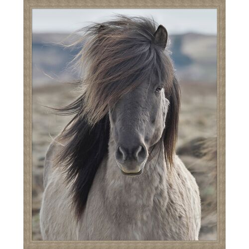 Windblown 1 Windblown