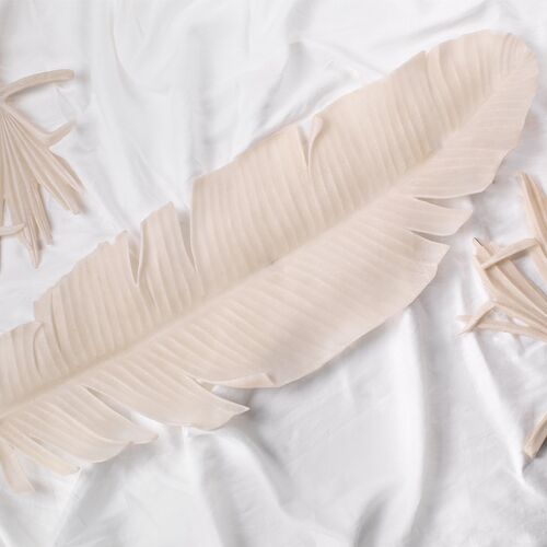 Feather Object, Off-White 4 Feather Object, Off-White