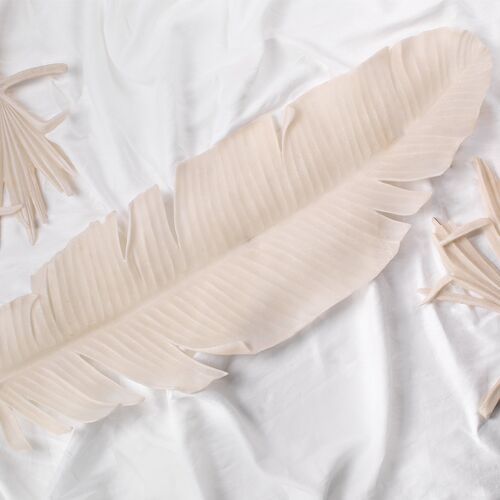 Feather Object, Off-White 7 Feather Object, Off-White