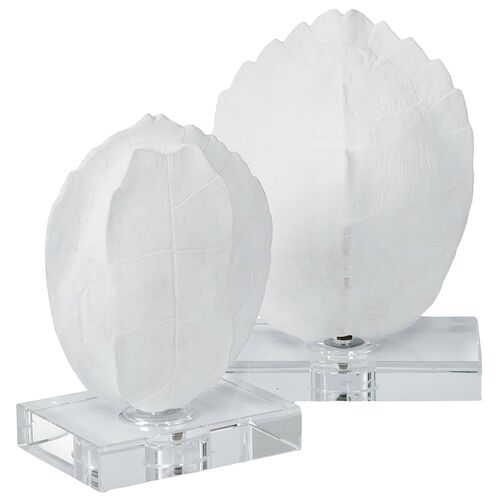 S/2 Turtle Shells On Crystal 1 S/2 Turtle Shells On Crystal