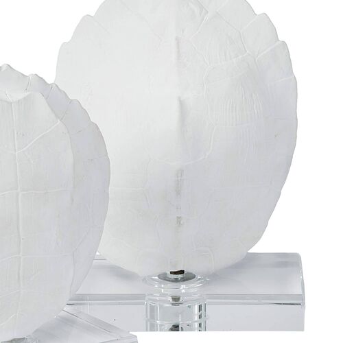 S/2 Turtle Shells On Crystal 7 S/2 Turtle Shells On Crystal