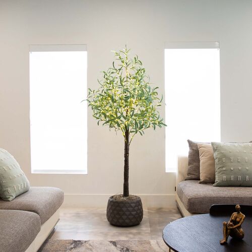 5ft. Lighted Artificial Olive Tree 6 5ft. Lighted Artificial Olive Tree